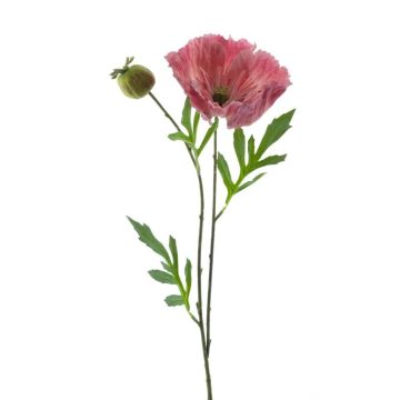 Coquelicot artificiel EDESSA, rose, 80cm