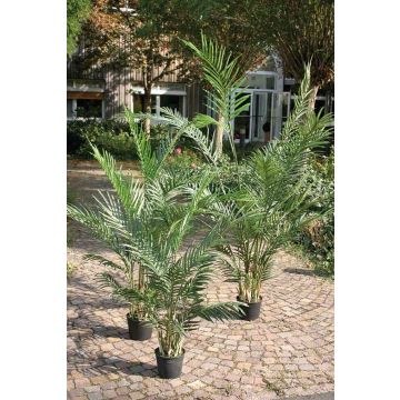 Palmier Areca artificiel BONNY, 90cm