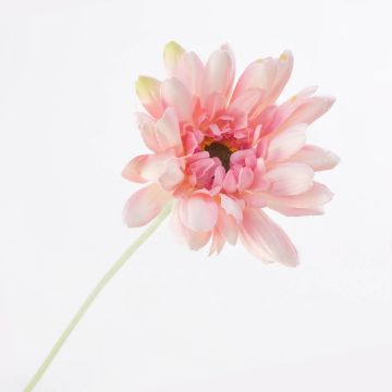 Gerbera artificiel VIRGINIA, crème-rose, 55cm, Ø11cm