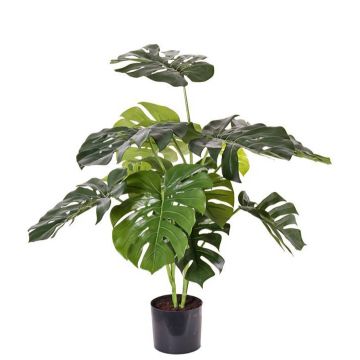 Plante décorative Philodendron Monstera Deliciosa ARELIUS, 85cm