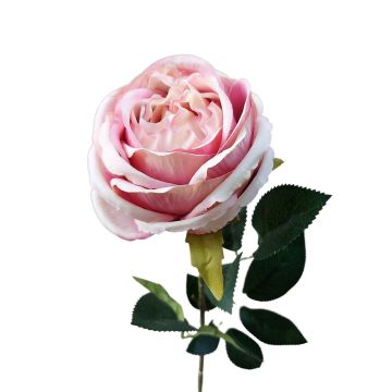 Fleur en plastique Rose CHERLEN, rose-crème, 60cm, Ø10cm