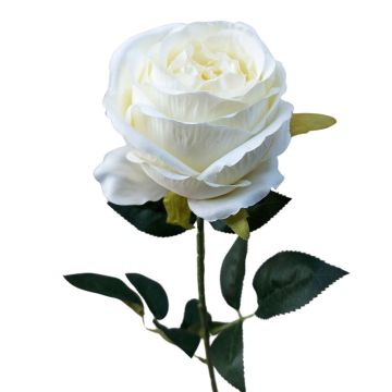 Fleur en plastique Rose CHERLEN, blanc, 60cm, Ø10cm