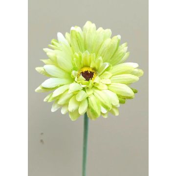 Fleur décorative Gerbera TEUDELINDE, vert-crème, 55cm, Ø8cm