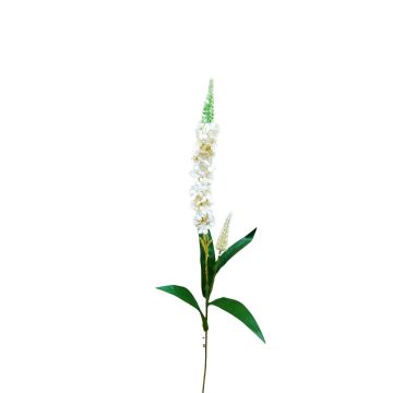 Fleur artificielle Véronique RUNHERDA, blanc, 75cm