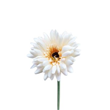 Fleur décorative Gerbera TEUDELINDE, blanc-crème, 55cm, Ø8cm