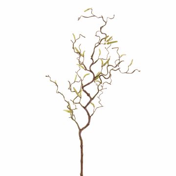 Branche de noisetier décorative XANCHO, brun, 65cm