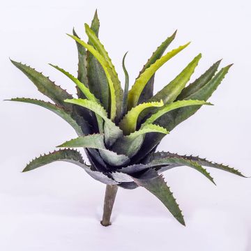 Plante artificielle Agave SEDA à planter, vert, 25cm, Ø25cm