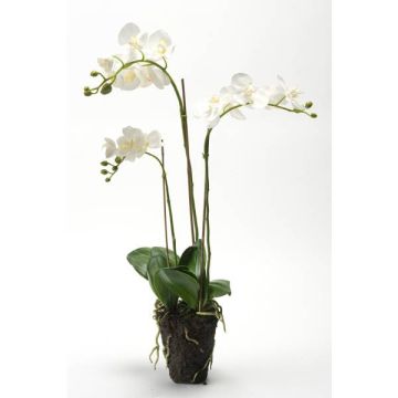 Fleur artificielle Orchidée PABLA, motte de terre, blanc, 70cm