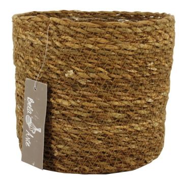 Panier de zostère AMPARO, beige, 14cm, Ø16,5cm