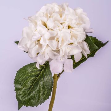 Fausse fleur d'Hortensia GABRIELLA, crème, 50cm, Ø18cm