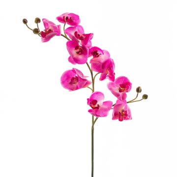 Branche d'orchidée artificielle STINA, rose, 90cm