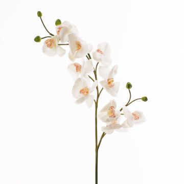 Branche d'orchidée artificielle STINA, blanc, 90cm