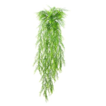 Plante artificielle retombante Asparagus plumosus ILES, à piquer,  105cm