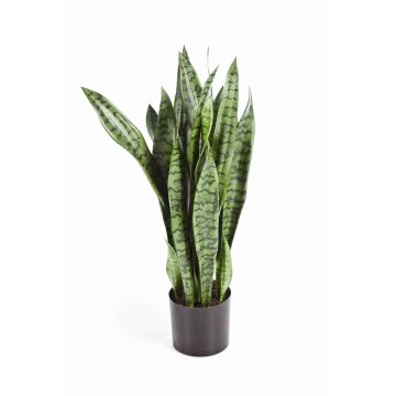 Fausse plante Sansevieria BEYZA, vert, 80cm