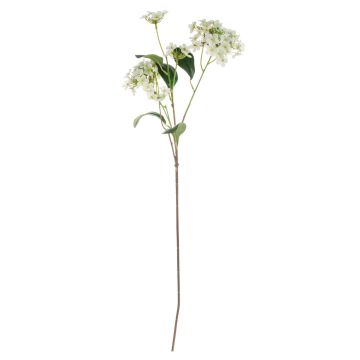 Branche de boule de neige décorative LINDIWE, blanc-vert, 70cm