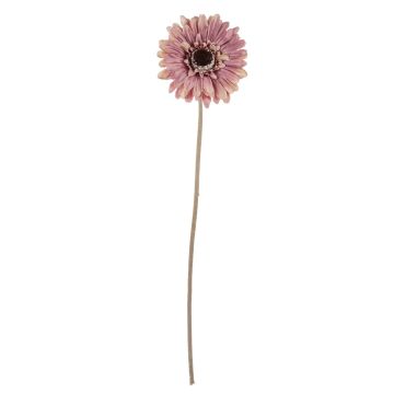 Fleur décorative Gerbera TUNGUSKA, aspect sec, vieux rose, 50cm