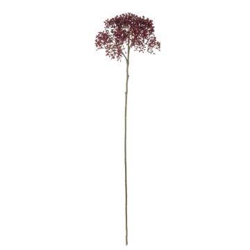 Branche décorative Viburnum VARINKA avec des bourgeons, aspect sec, rouge bourgogne, 55cm