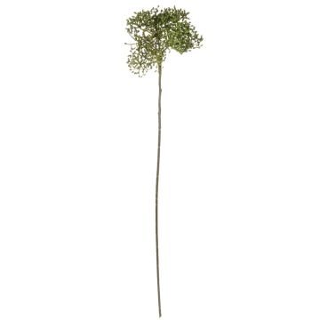 Branche décorative Viburnum VARINKA avec des bourgeons, aspect sec, vert, 55cm