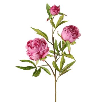 Branche décorative Pivoine MANJA, vieux rose-fuchsia, 70cm, Ø8-10cm