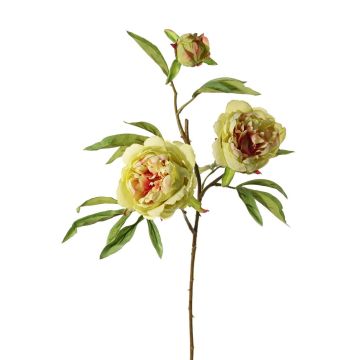 Branche décorative Pivoine MANJA, vert-fuchsia, 70cm, Ø8-10cm