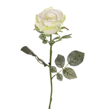 Rose en velours HUSA, blanc-vert, 75cm, Ø10cm