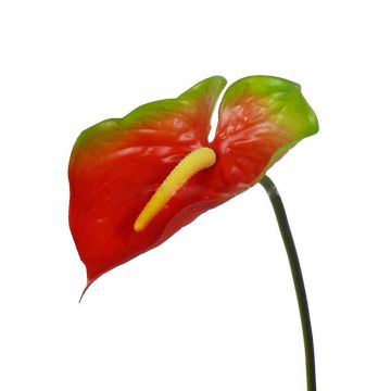 Fleur artificielle Anthurium MOIRA, rouge-vert, 75cm, 13x20cm