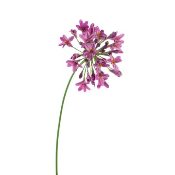 Agapanthe artificielle PHILINA, violet, 75cm, Ø14cm