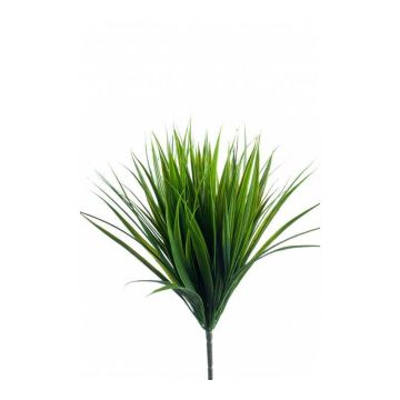 Roseau décoratif PAULI à planter, vert, 35cm