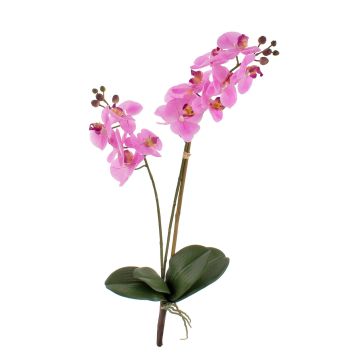 Fausse orchidée Phalaenopsis CANDIDA à planter, rose, 65cm