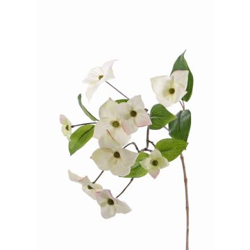 Branche décorative Cornouiller du Japon KOHANA, en fleurs, crème, 70cm