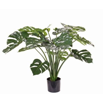 Plante décorative Philodendron Monstera Deliciosa ARELA, 85cm