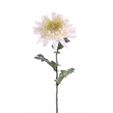 Fleur artificielle Chrysanthème AMANDI, blanc, 75cm, Ø15cm