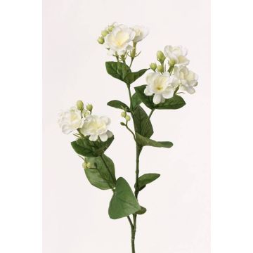 Branche décorative de jasmin SINJA, blanc-vert, 60cm, Ø4cm