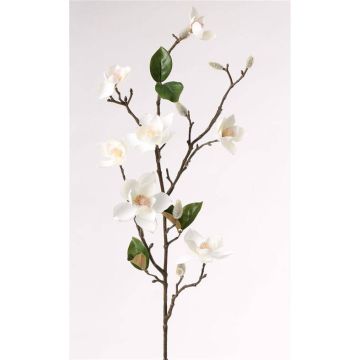 Fleur artificielle magnolia MASAHI, crème, 90cm, Ø4-8cm