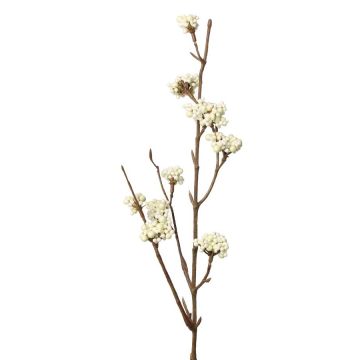 Branche décorative de callicarpe LARINA avec baies, crème, 50cm