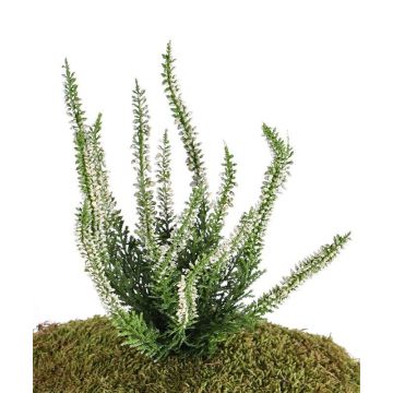 Fleur artificielle bruyère IMKE à planter, crème, 25cm, Ø1cm