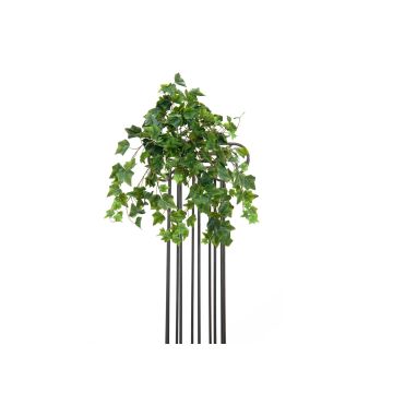 Suspension décorative de lierre CASPAR à planter, vert-jaune, 50cm