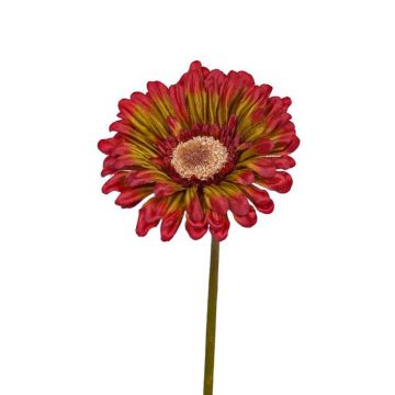 Gerbera fleur artificielle ANNEMARIE, rouge-vert, 50cm, Ø10cm