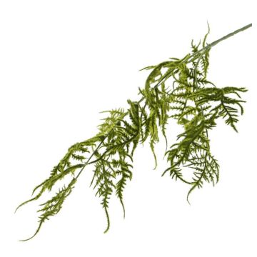 Branche décorative Asparagus plumosus CHRISTIAN, vert, 85cm