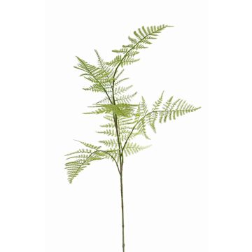 Branche décorative d'Asparagus plumosus HAYDON, vert, 85cm