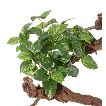 Plante artificielle Pothos NAEL, piquet, diff. inflammable, vert-blanc, 50cm