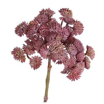 Sedum en plastique DANICA, rouge foncé, 20cm, Ø10cm