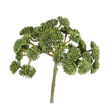 Sedum en plastique DANICA, vert, 20cm, Ø10cm