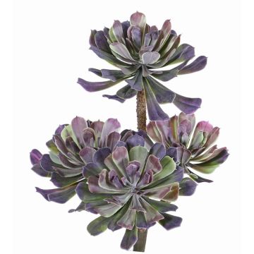 Succulente artificielle Aeonium ELOISE à planter, violet-vert, 30cm, Ø20cm