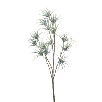 Branche de Tillandsia stricta en plastique MONDRIAN, vert-gris, 65cm