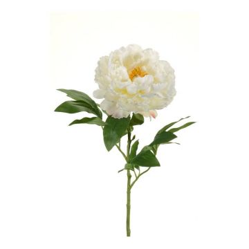 Pivoine décorative DIVIN, crème, 65cm