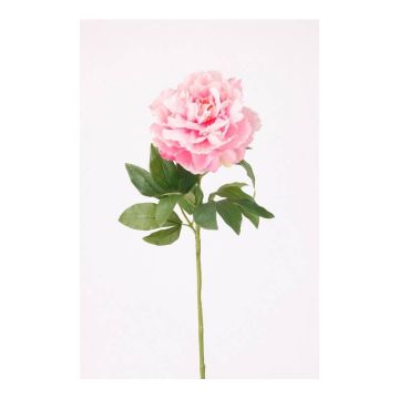 Pivoine décorative DIVIN, rose, 65cm