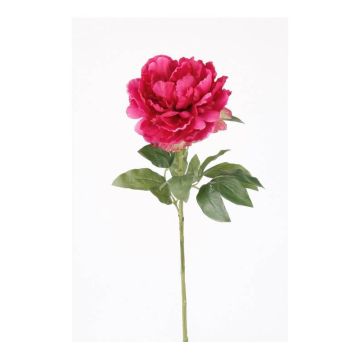 Pivoine décorative DIVIN, fuchsia, 65cm