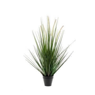 Herbe décorative OTIS avec panicules, vert, 120cm