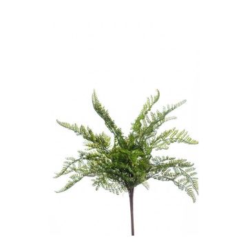 Fougère décorative MELLEA à planter, vert, 40cm